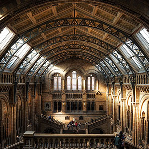 museum-museum-300